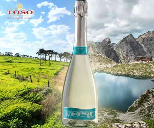 Шампанское Asti Toso Secco DOCG / Асти Тосо Секко сухое Италия, купить, спец цена