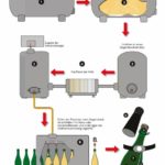 Технологические этапы метода Шарма, по которому производят Асти спуманте и Москате д'Асти