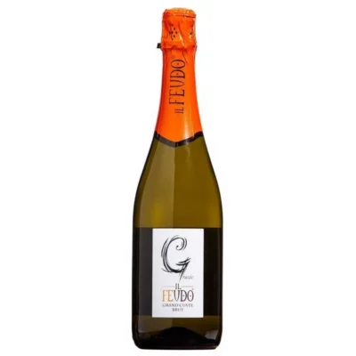 Купити Вино игристое "Grand-Cuvee IL Feudo Spumante Brut"0,75л бел.брют 11% (Италия ,Павия,TM"IL Feudo ")