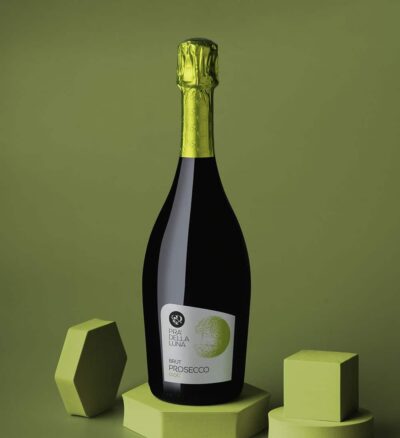 Купити Вино ігристе Prosecco DOC Luna Silver Extra Dry / Просекко Екстра Драй ігристе Італія, 11% Тревізо