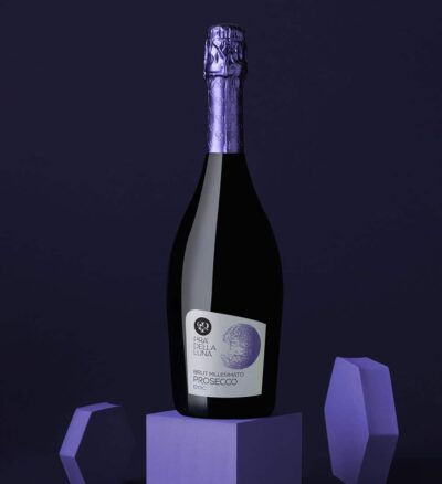 Купити Вино ігристе Prosecco DOC Luna Silver Brut Millesimato 2024 / Просекко Брют Міллезімато 2024 ігристе Італія, 11% Тревізо