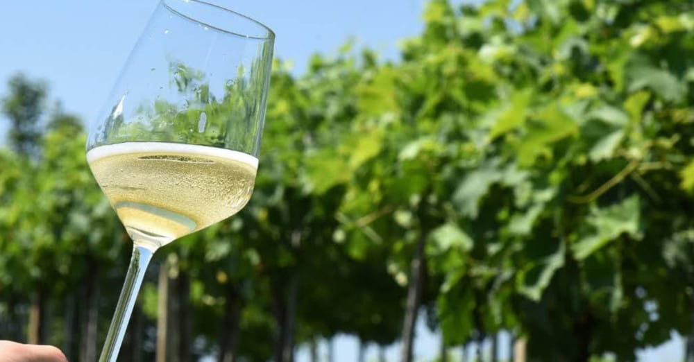 Солодкий тренд сезону: чому ігристе та морозиво — це новий must-have